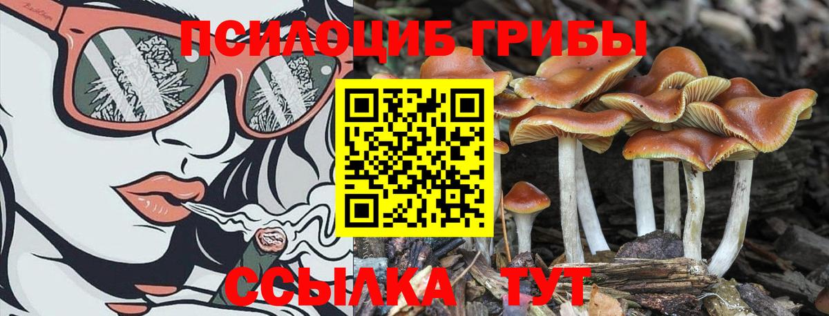 Галлюциногенные грибы Magic Shrooms  Галлюциногенные грибы Psilocybe  Приморско-Ахтарск  Вход с VPN 