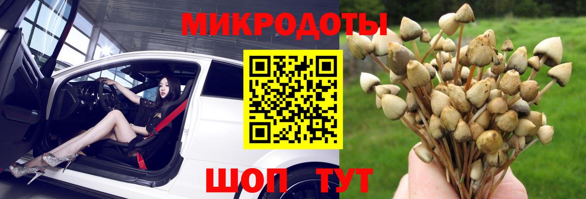 Галлюциногенные грибы мицелий Приморско-Ахтарск